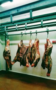 Pakistani beef