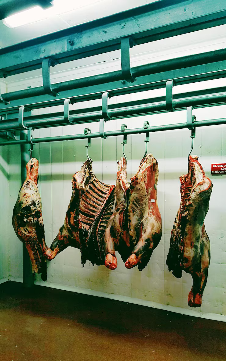 meat-hanging-shop-sale_1048944-893952