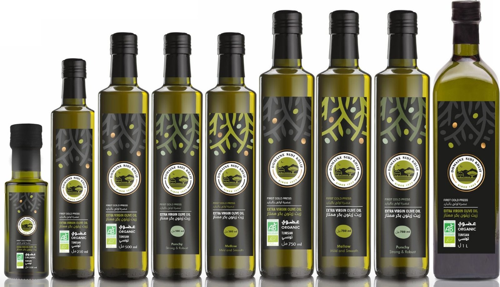 Olive Oil & Edible Oils