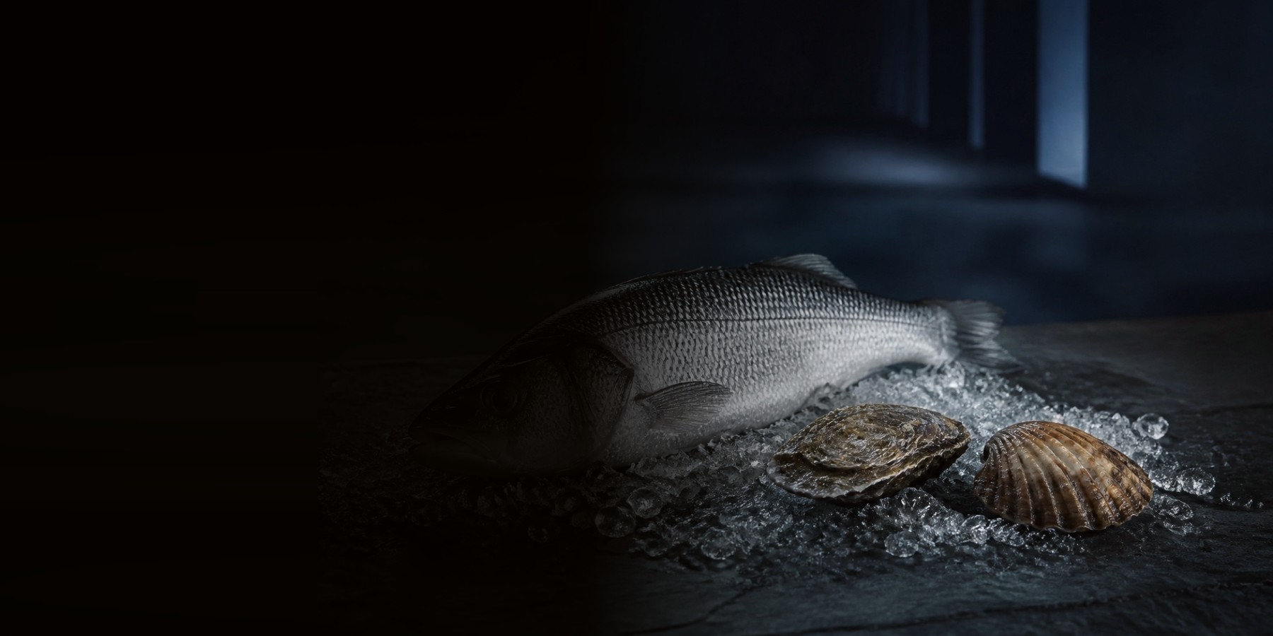 Whole sea bass on ice with an oyster and a scallop, on slate