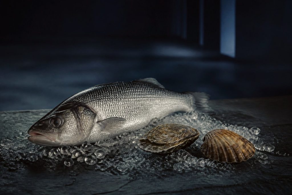 Seafood