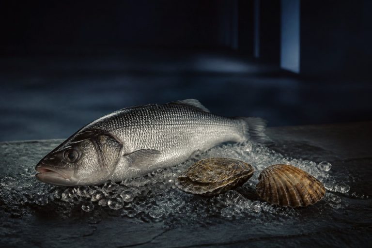 Seafood